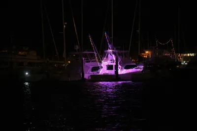 DSC_2456 (Large).JPG